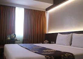 Palm Hotel Manila 5