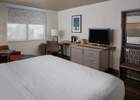 Holiday Inn TAMPA WESTSHORE - AIRPORT AREA by IHG 3