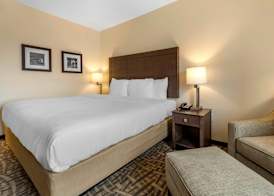 Comfort Inn & Suites Pittsburgh-Northshore 5