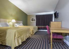 Super 8 by Wyndham Battleboro/Rocky Mount 4