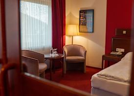 Sauerland Alpin Hotel 5