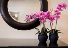 Best Western Salinas Valley Inn & Suites 3