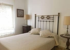 Aiguaneu Apartaments Center 5
