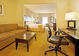 Holiday Inn Express & Suites SHAMROCK NORTH by IHG 3
