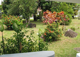 Daniella's Bungalows 5