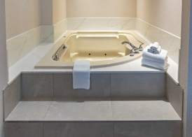 Holiday Inn & Suites ST. CATHARINES CONF CTR by IHG 4