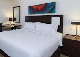 Holiday Inn GUADALAJARA PATRIA-UNIVERSIDAD by IHG 4