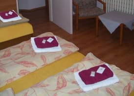 Hotel Slovan 4