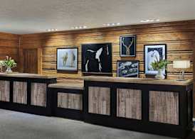 The Ritz-Carlton, Bachelor Gulch 3