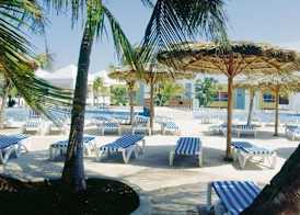 Hotel Palma Real 5