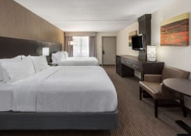 Holiday Inn SAINT LOUIS WEST AT SIX FLAGS by IHG 4