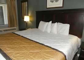 Americas Best Value Inn Athens, GA 5