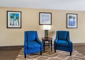 Comfort Inn & Suites St Pete - Clearwater International Airport 2