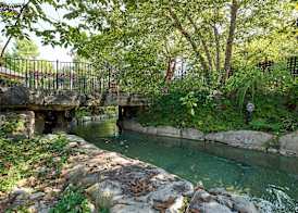 Hilton Grand Vac Club Wilderness Club at Big Cedar Ridgedale 2