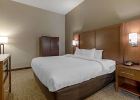 Comfort Suites Columbus State University Area 5