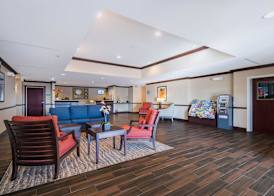Comfort Inn and Suites Maingate South 4