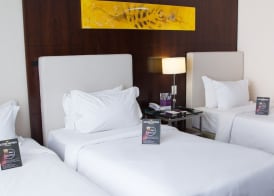 Mercure Belo Horizonte Lourdes 4