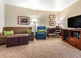 Comfort Suites Fernley 5