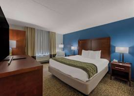 Comfort Inn Newport News - Hampton I-64 4