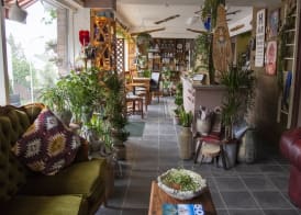 Private and peaceful one room apartments 2