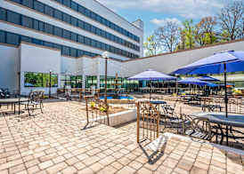 DoubleTree by Hilton South Charlotte Tyvola 3