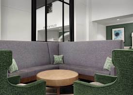 DoubleTree by Hilton Chicago O'Hare Airport-Rosemont 5