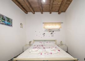 La casa di Schiu Schiu 3