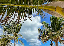 Alito Tulum Hotel 2