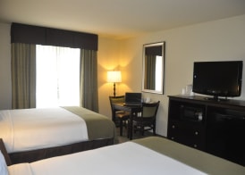 Holiday Inn Express & Suites SARASOTA EAST - I-75 by IHG 5