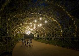 Boeira Garden Hotel Porto Gaia, Curio Collection by Hilton 2