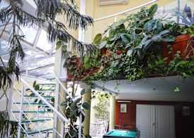 Classic Hotel 3