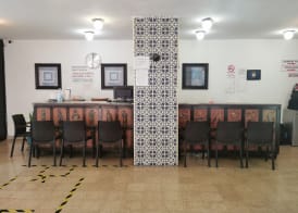 Hotel Las Dalias Inn 5