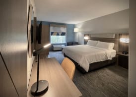 Holiday Inn Express & Suites TAMPA-I-75 @ BRUCE B. DOWNS by IHG 5
