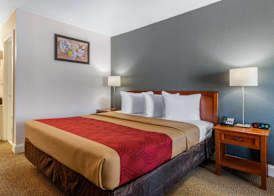 Econo Lodge Airport - RJ Stadium 5