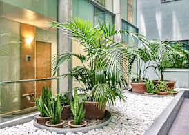 Ibis Barcelona Centro (Sagrada Familia) 3
