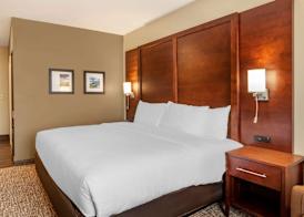 Comfort Inn & Suites Winchester 4