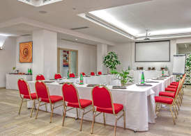 Occidental Aurelia 5