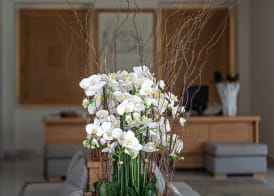 Nissaki Boutique Hotel 5
