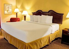 Quality Inn Richmond North 5