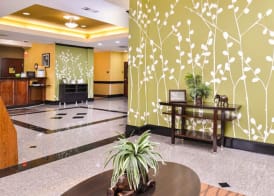 Sleep Inn & Suites Downtown Houston Near Convention Center 3