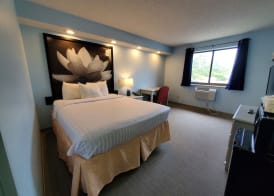 Coastal Inn & Suites 5
