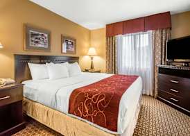 Comfort Suites Wisconsin Dells Area 3