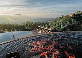 Elevate Bali 2