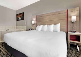 Best Western Plus Albert Lea I-90/I-35 Hotel 5