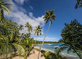 Avani Plus Barbarons Seychelles 4