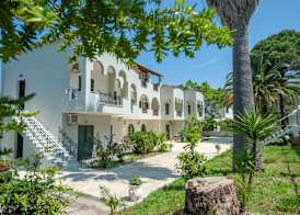 Vassilis Paradise Garden Aparthotel 4