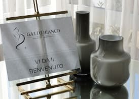 Gatto Bianco Maarea 3