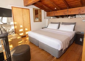 Rochester Bariloche Suites & Spa 4