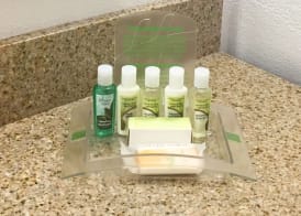 Holiday Inn MIAMI BEACH-OCEANFRONT by IHG 5