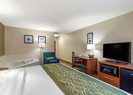 Comfort Inn & Suites - near Robins Air Force Base Main Gate 3